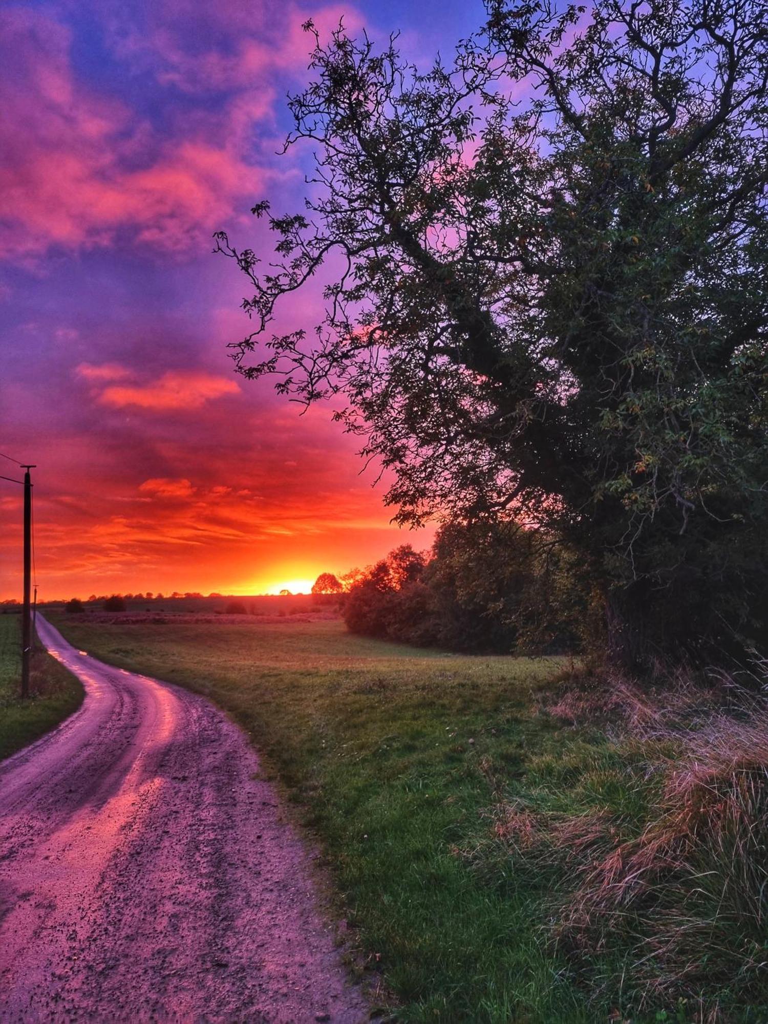 Gite Du Grand Frene Orrouy Esterno foto