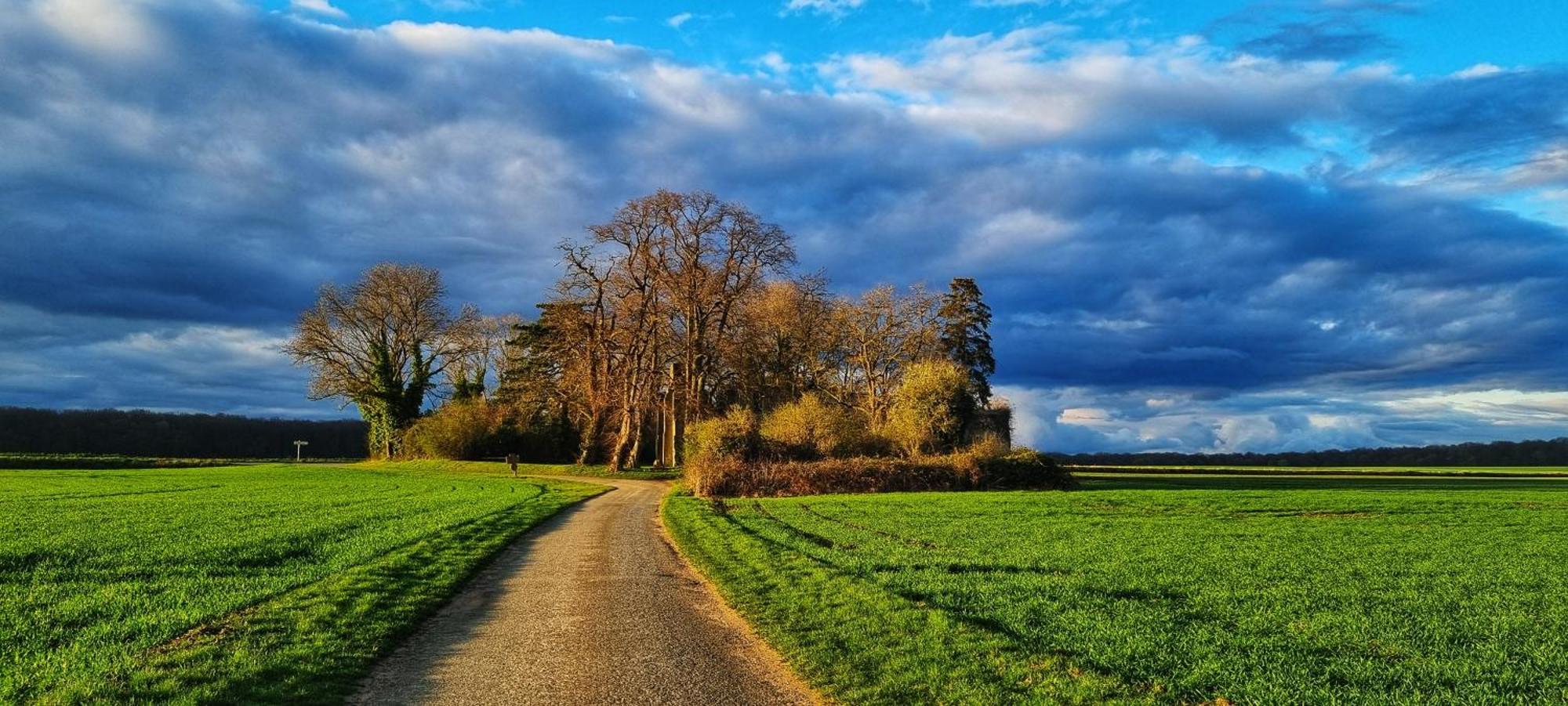 Gite Du Grand Frene Orrouy Esterno foto