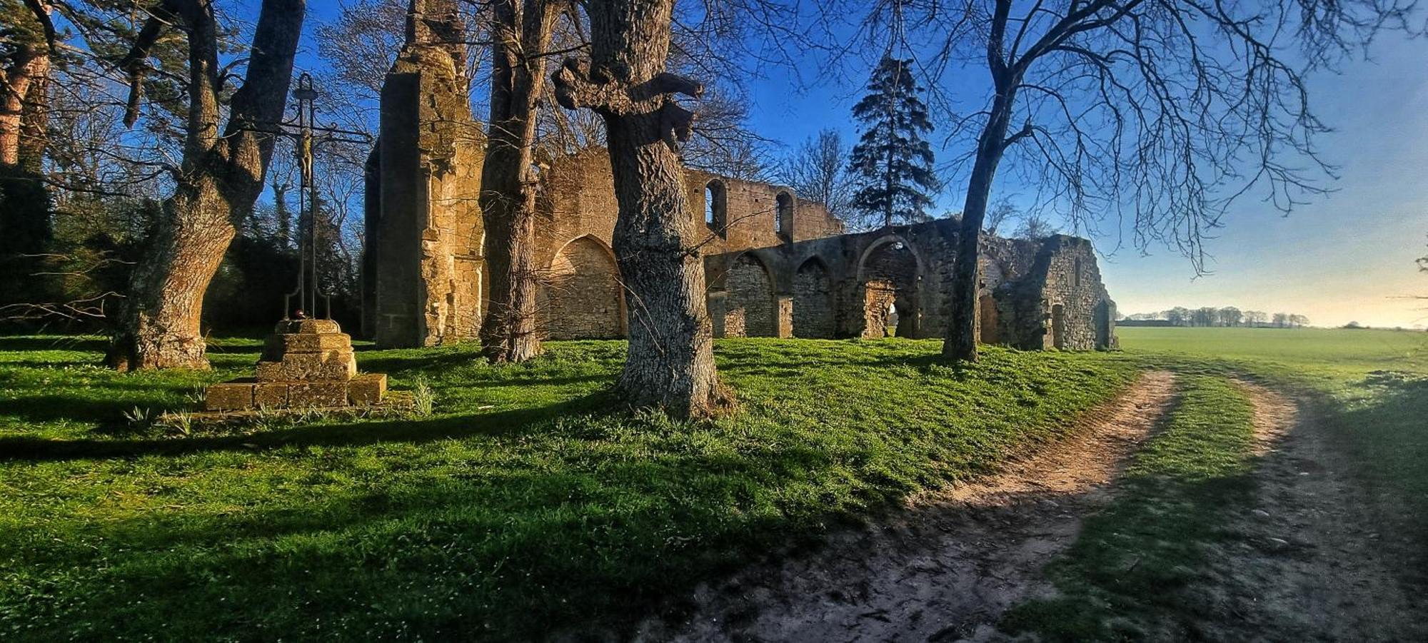 Gite Du Grand Frene Orrouy Esterno foto
