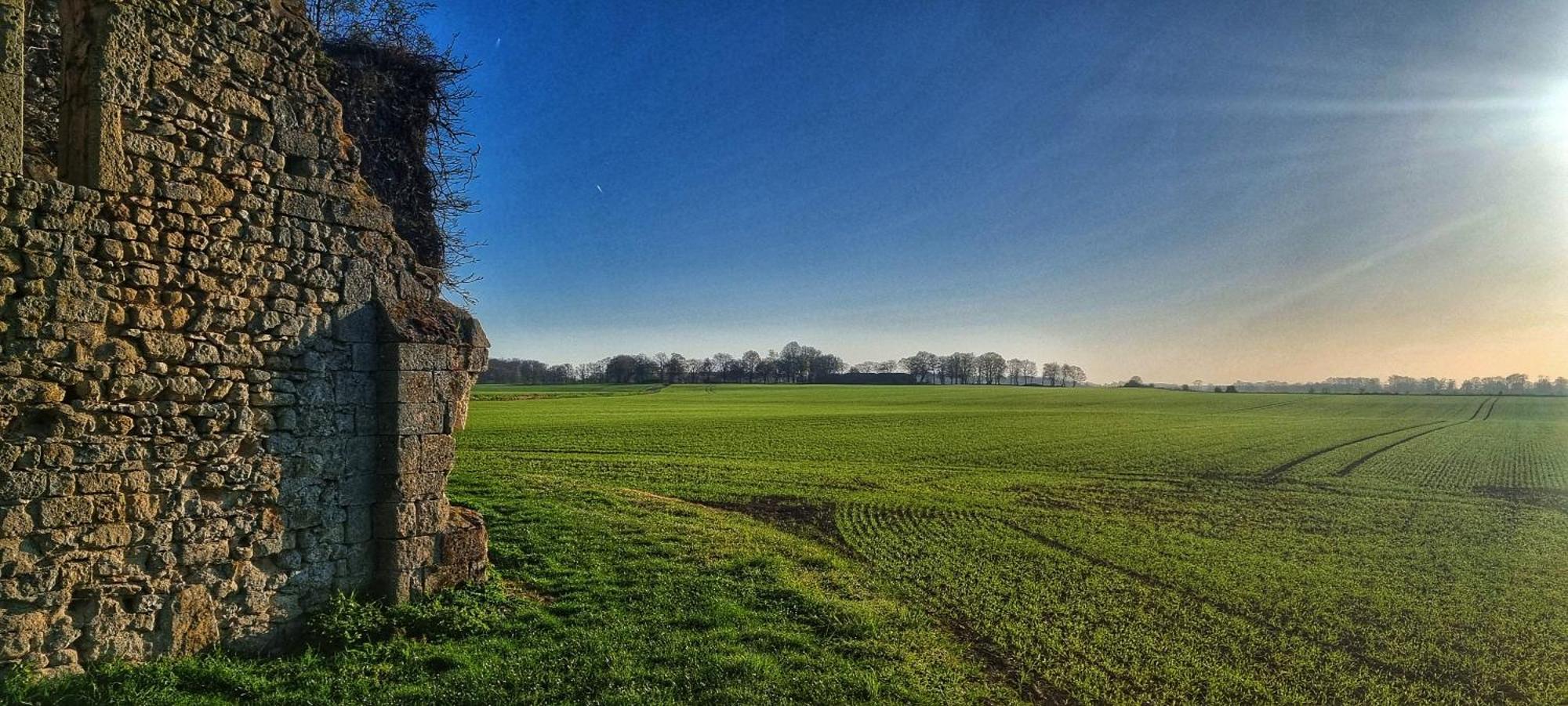 Gite Du Grand Frene Orrouy Esterno foto