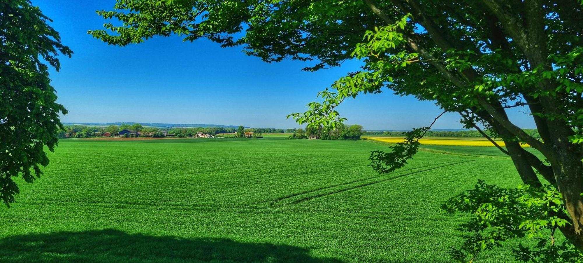 Gite Du Grand Frene Orrouy Esterno foto