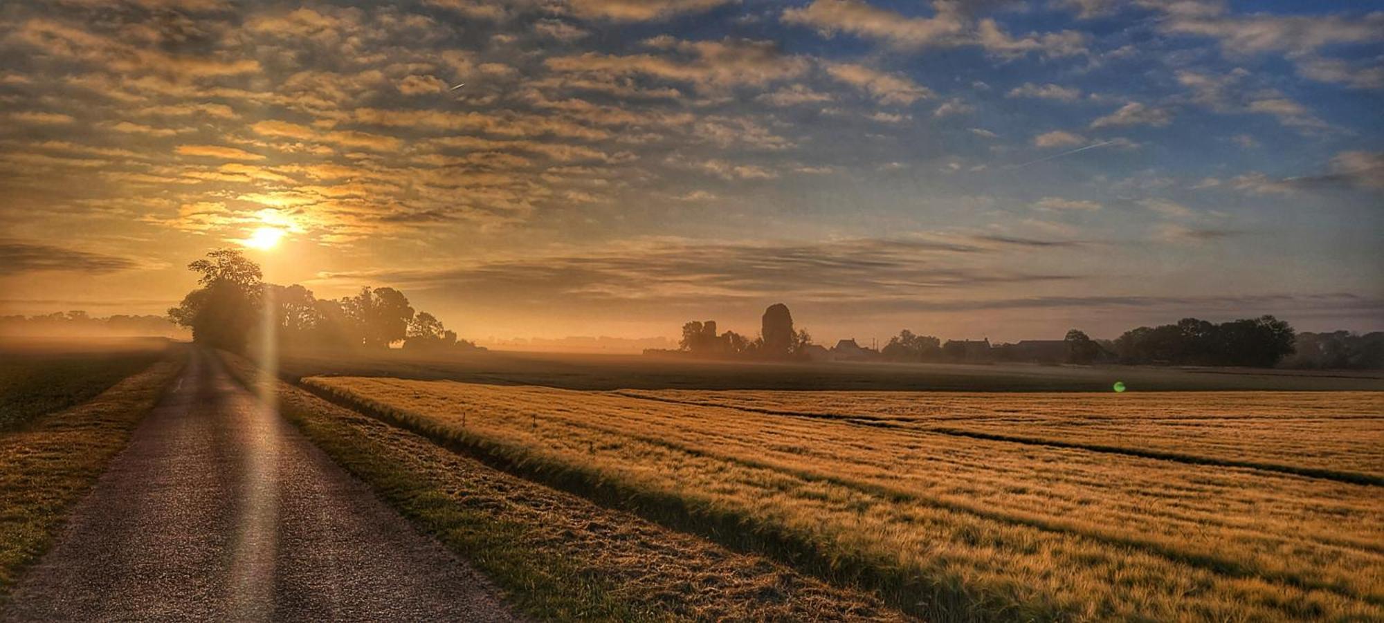 Gite Du Grand Frene Orrouy Esterno foto