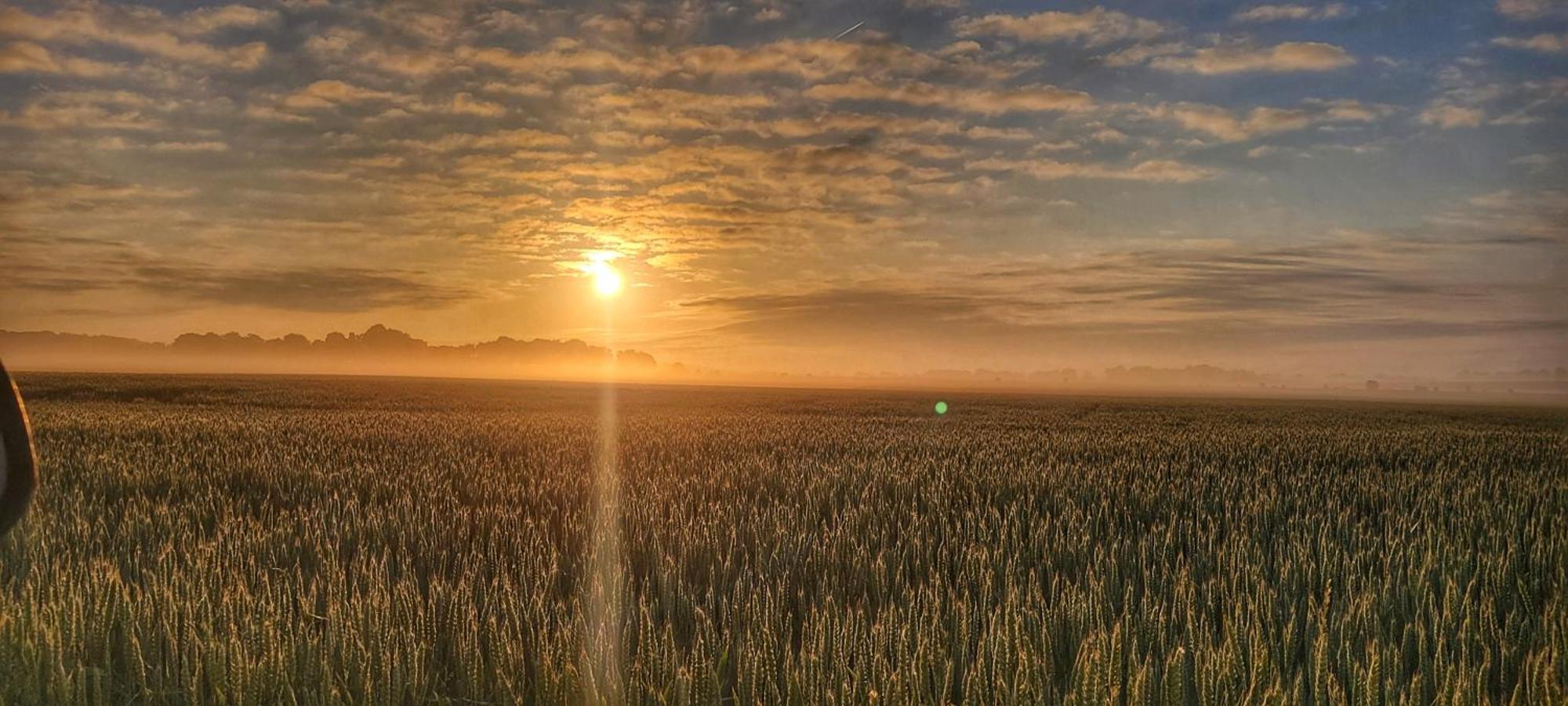 Gite Du Grand Frene Orrouy Esterno foto