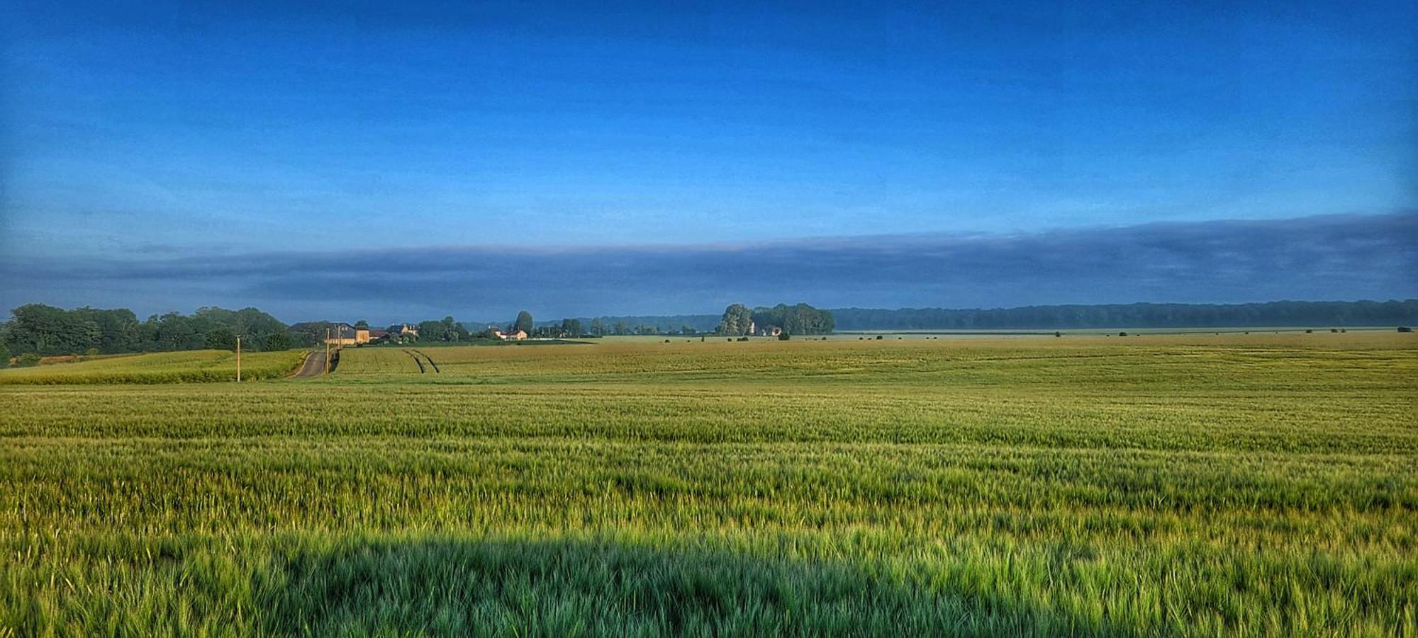 Gite Du Grand Frene Orrouy Esterno foto